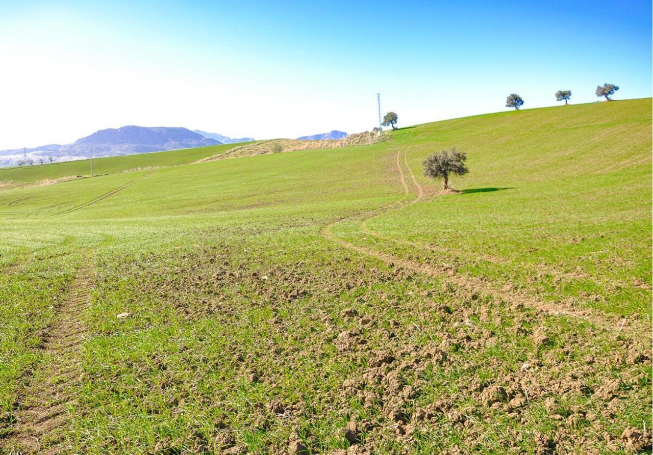 Cortijo Las Caballerias Álora Kültér fotó